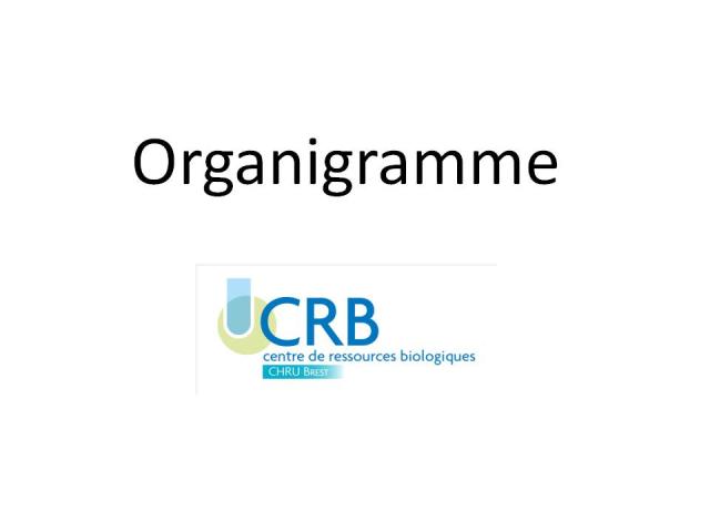 Organigramme du CRB Santé