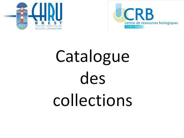 Mise en place des catalogues des collections CHU Brest